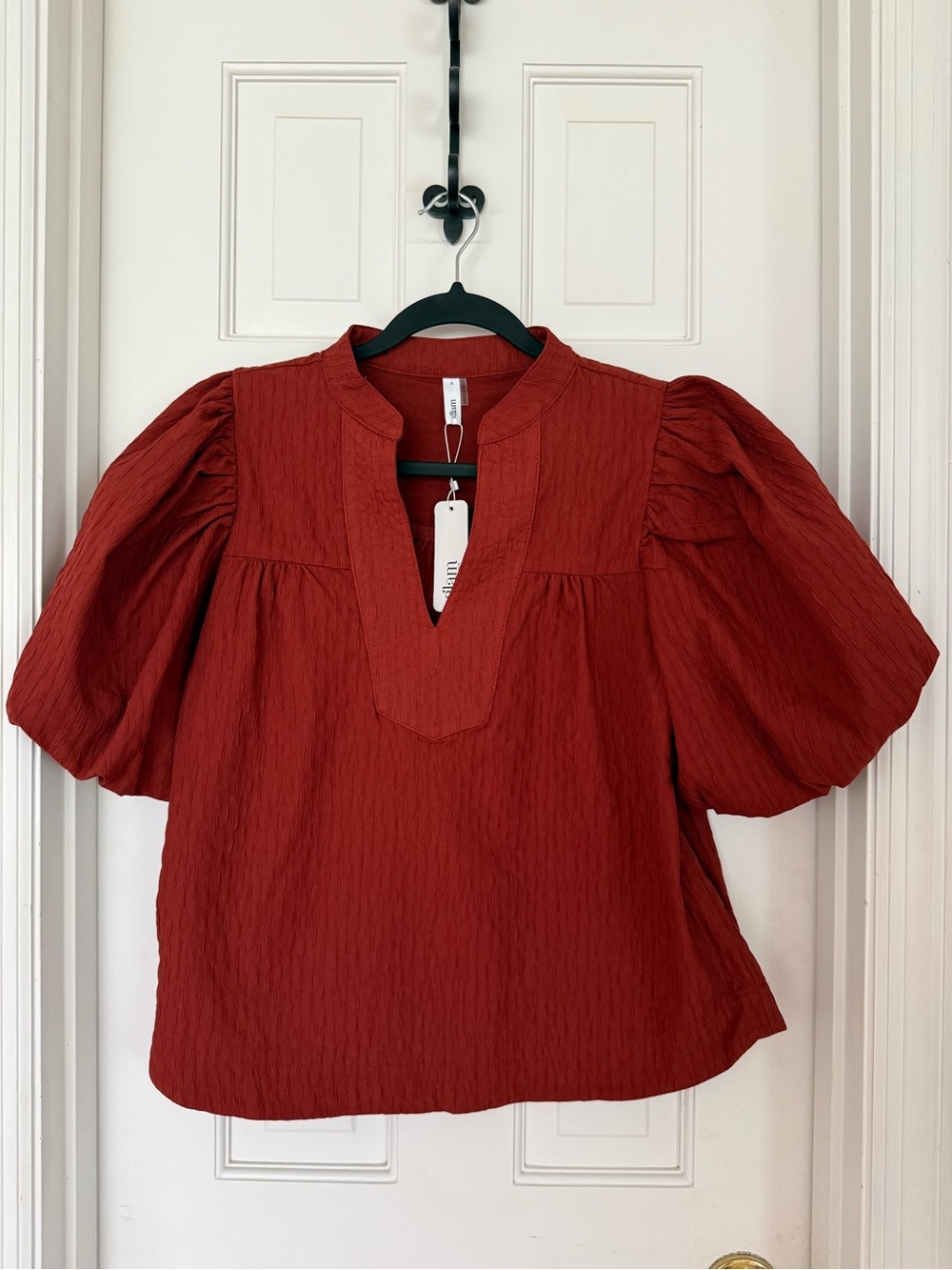 glam Brick Red Textured V-Neck Puff Sleeve Blouse
